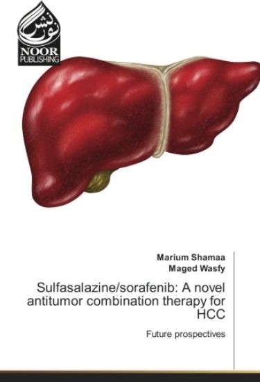Sulfasalazine/sorafenib: A novel antitumor combination therapy for HCC