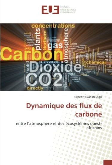 Dynamique des flux de carbone