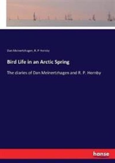 Bird Life in an Arctic Spring
