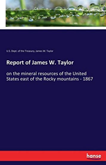 Report of James W. Taylor