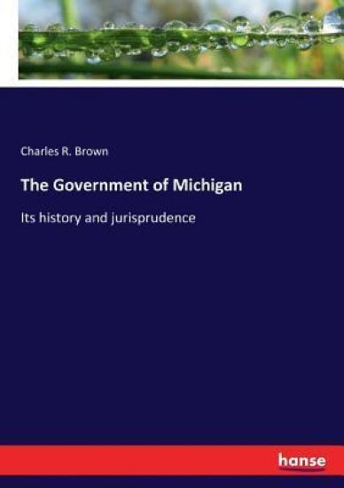 The Government of Michigan