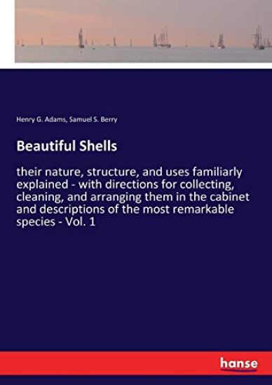 Beautiful Shells