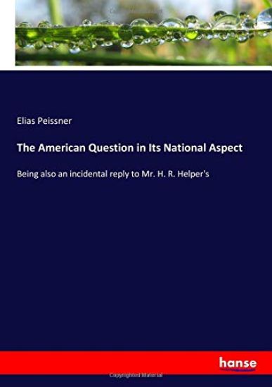 The American Question in Its National Aspect