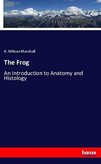 The Frog