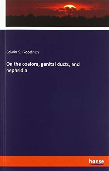 On the coelom, genital ducts, and nephridia