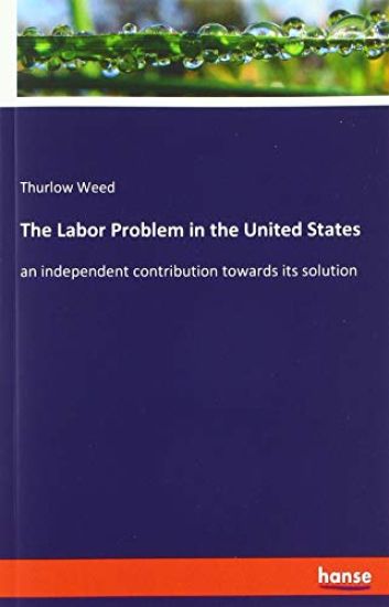 The Labor Problem in the United States