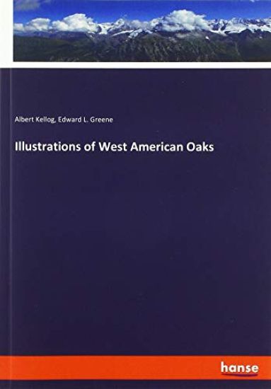 Illustrations of West American Oaks
