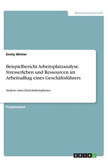 Beispielbericht Arbeitsplatzanalyse. Stresserleben und Ressourcen im Arbeitsalltag eines Geschäftsführers
