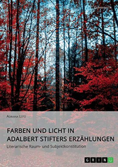 Farben und Licht in Adalbert Stifters Erzählungen. Literarische Raum- und Subjektkonstitution