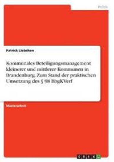 Kommunales Beteiligungsmanagement kleinerer und mittlerer Kommunen in Brandenburg. Zum Stand der praktischen Umsetzung des § 98 BbgKVerf