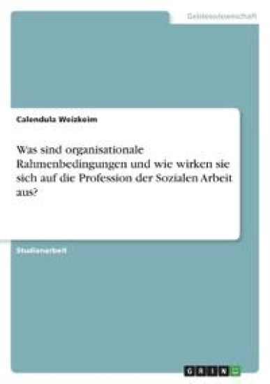 Was sind organisationale Rahmenbedingungen und wie wirken sie sich auf die Profession der Sozialen Arbeit aus?