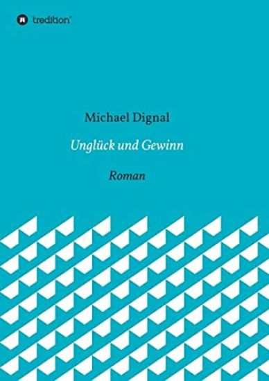 Unglück und Gewinn: Roman