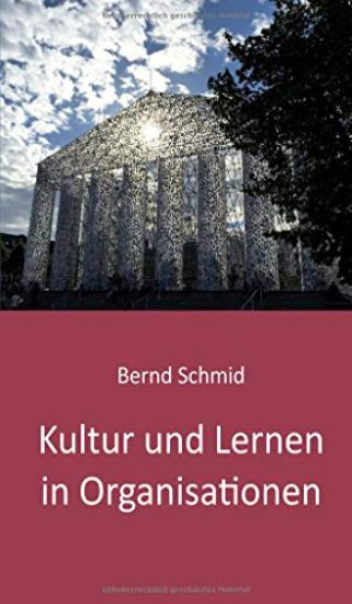 Kultur und Lernen in Organisationen: Ein Lesebuch von Bernd Schmid 2020