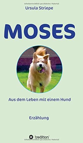Moses - Aus dem Leben mit einem Hund