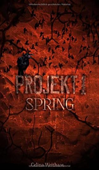 Spring - Projekt I