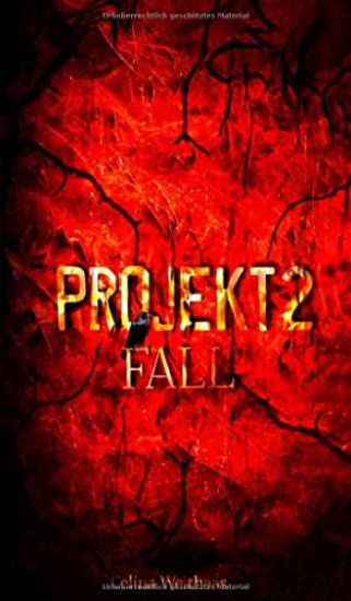 Fall - Projekt II