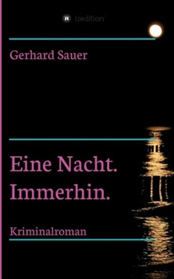 Eine Nacht. Immerhin.: Kriminalroman