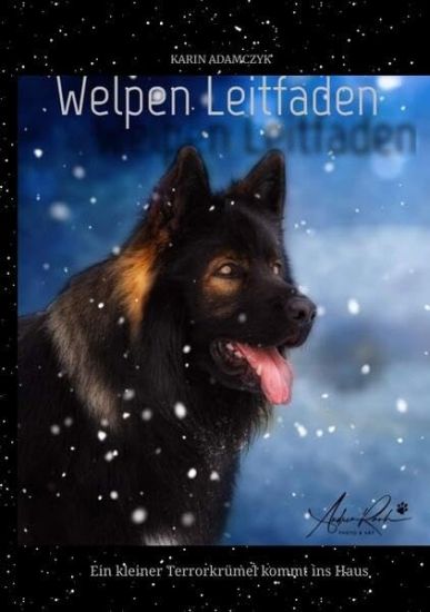 Welpen Leitfaden: Ein kleiner Terrorkrümel kommt ins Haus