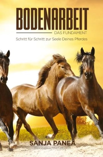 Bodenarbeit - Das Fundament: Schritt für Schritt zur Seele Deines Pferdes