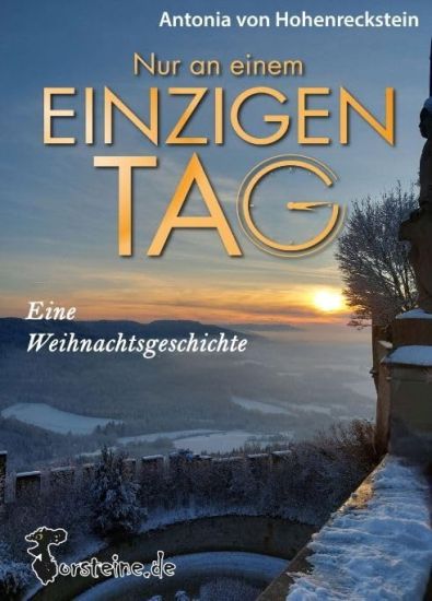 Nur an einem einzigen Tag: Eine Weihnachtsgeschichte