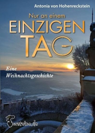 Nur an einem einzigen Tag: Eine Weihnachtsgeschichte