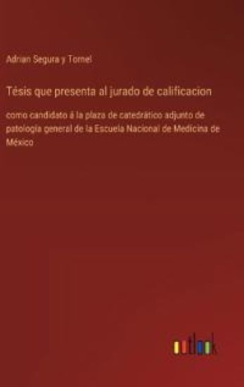 T?sis que presenta al jurado de calificacion
