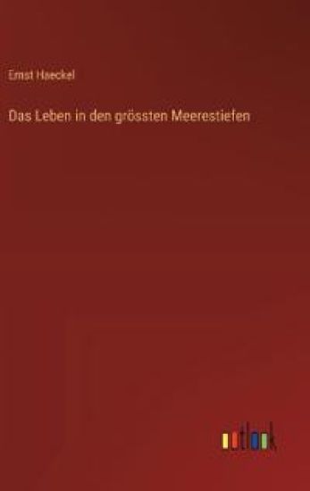 Das Leben in den grössten Meerestiefen