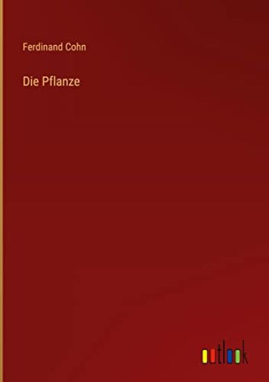 Die Pflanze