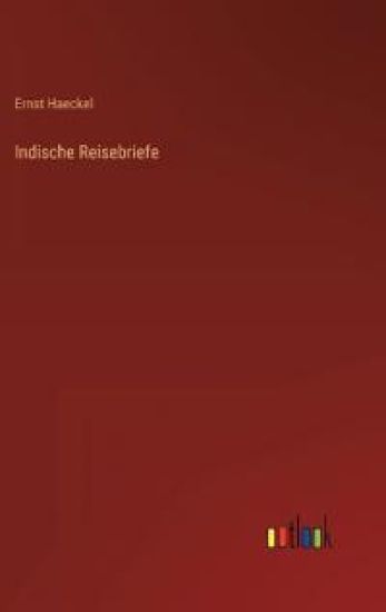 Indische Reisebriefe
