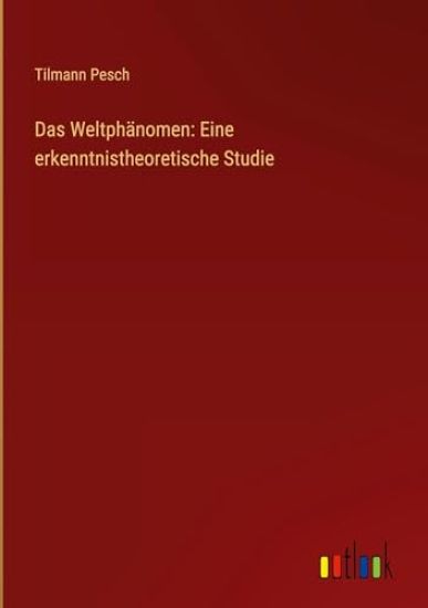 Das Weltphänomen: Eine erkenntnistheoretische Studie