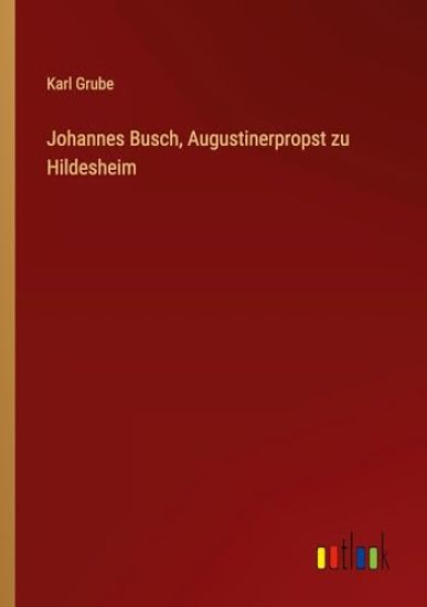 Johannes Busch, Augustinerpropst zu Hildesheim