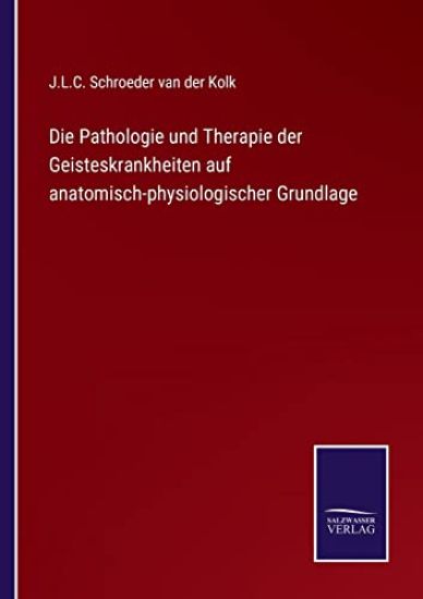 Die Pathologie und Therapie der Geisteskrankheiten auf anatomisch-physiologischer Grundlage