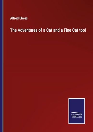 The Adventures of a Cat and a Fine Cat too!