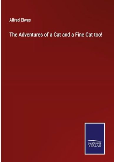 The Adventures of a Cat and a Fine Cat too!