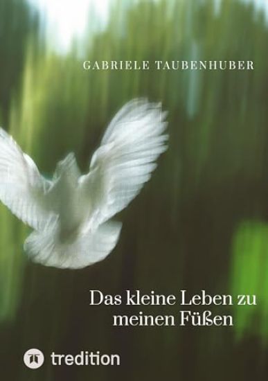 Das kleine Leben zu meinen Füßen