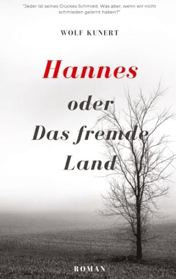 Hannes oder Das fremde Land
