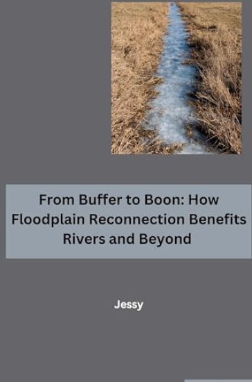 From Buffer to Boon: How Floodplain Reconnection Benefits Rivers and Beyond