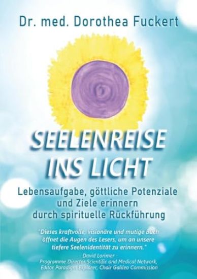 SEELENREISE INS LICHT. Lebensaufgabe, göttliche Potenziale und Ziele erinnern durch spirituelle Rückführung: Die LZL(R) - Methode nach Dr. Michael New