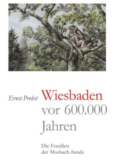 Wiesbaden vor 600.000 Jahren