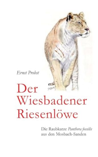 Der Wiesbadener Riesenlöwe