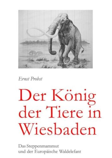 Der König der Tiere in Wiesbaden
