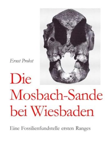 Die Mosbach-Sande bei Wiesbaden