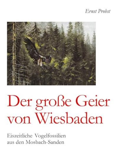 Der große Geier von Wiesbaden