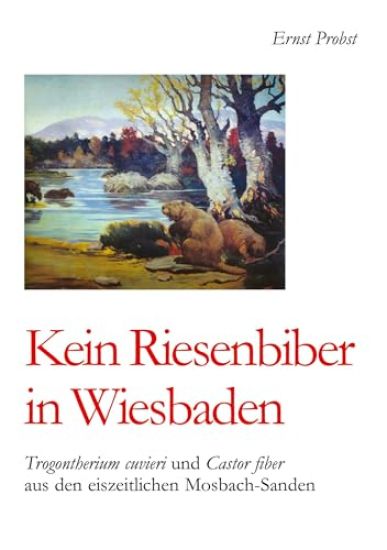 Kein Riesenbiber in Wiesbaden