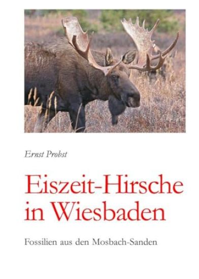 Eiszeit-Hirsche in Wiesbaden