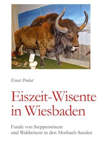 Eiszeit-Wisente in Wiesbaden