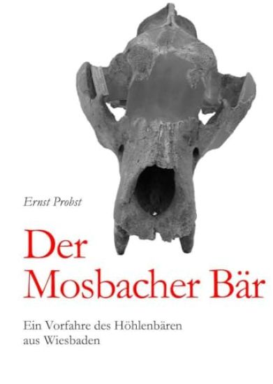 Der Mosbacher Bär