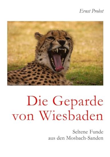 Die Geparde von Wiesbaden