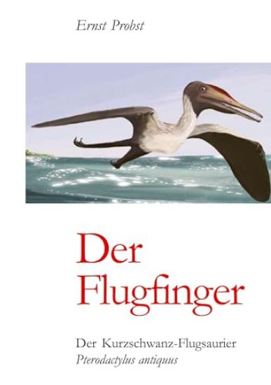 Der Flugfinger: Der Kurzschwanz-Flugsaurier Pterodactylus antiquus