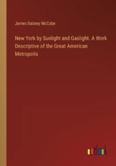 New York by Sunlight and Gaslight. A Work Descriptive of the Great American Metropolis